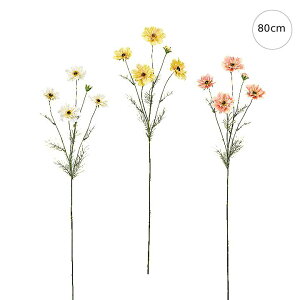 yeF3{Zbgzy RXXzORXX (80cm) CeA u[P t[ AWg p[c ^   I tFCN ݃J[ i`