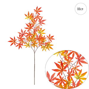 y2{ZbgzR݂ (86cm) Xܑ CeAfBXvC G  Cxg   ϗtA A[gO[ H 炢 AW ݃J[ i`