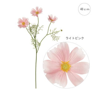 y5{Zbgzy RXXzRXX (CgsN) Xܑ CeAfBXvC G  Cxg   ϗtA A[gO[