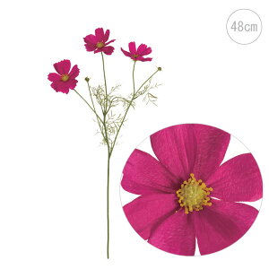 y5{Zbgzy RXXzRXX ( _[NI[Lbh) Xܑ CeAfBXvC G  Cxg   ϗtA A[gO[