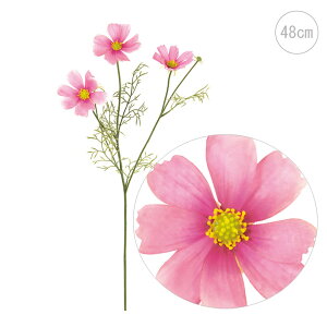 コスモス アレンジの人気商品 通販 価格比較 価格 Com