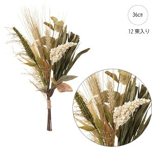 EB[g~bNXo` (12) H u[P   Xܑ CeAfBXvC G o  Cxg   ϗtA A[gO[ ݃J[ i`