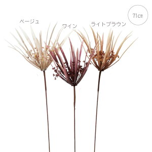 y3{ZbgzpsX (71cm) VyX gsJ 썑 Xܑ CeAfBXvC G  Cxg   ϗtA A[gO[ F ݃J[ hCt[ 