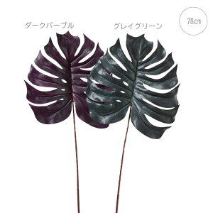 y3{ZbgzXe (L78cm)  Xܑ CeAfBXvC G o  Cxg   ϗtA A[gO[ mg[