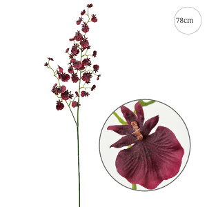 y3{Zbgzy ztHZIVWE (78cm) Xܑ CeAfBXvC G  Cxg   ϗtA A[gO[