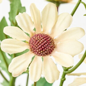 yeF5{ZbgzR[f[W[ (68cm) qiMN  lH ϗtA ^ _ CeA t[AW Vv