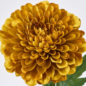 HFyeF2{Zbgz}K[e} (55cm) e  lH ϗtA ^ _ CeA t[AW Vv