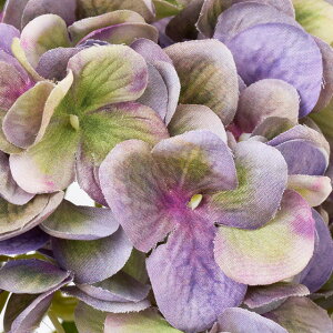 HFyeF3{ZbgzOfBnChWA (47cm)   lH ϗtA ^ _ CeA t[AW Vv