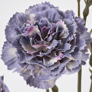 HFyeF5{ZbgzOfBnChWA (47cm)   lH ϗtA ^ _ CeA t[AW Vv