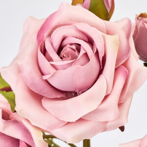 HF̃oy2{ZbgzAeB[Nv}[Y (58cm) CeA u[P t[ AWg p[c ^   I tFCN