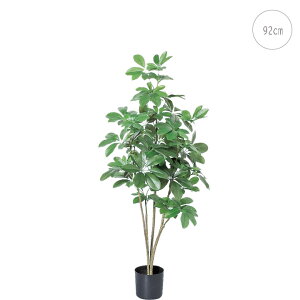 ylCizVFt (92cm ) J|bNc[ O[ ϗtA  A ^q` 썑  ϗtA ^ CeA lH tFCN ͗lւ  _ Vv X fBX