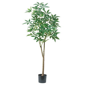 yēׁzpLc[ (185cm) O[ ϗtA  A ^q` 썑  ϗtA ^ CeA lH tFCN ͗lւ  _ Vv X fBXvC JtF C