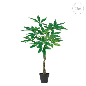 yVzpLc[ (70cm) ϗtA  ^q` 썑  ϗtA ^ CeA lH tFCN ͗lւ  _ Vv X fBXvC JtF C_XgA q