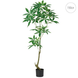 yVzpLc[ (150cm) O[ ϗtA  A i ^q` 썑  ϗtA ^ CeA lH tFCN ͗lւ  _ Vv X fBXvC Jt