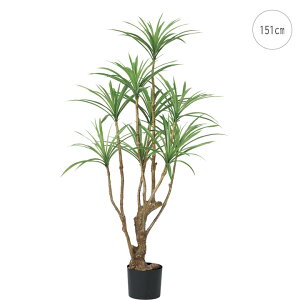 hZic[ (151cm) K̖ O[ ϗtA  A ^q` 썑  ϗtA ^ CeA lH tFCN ͗lւ  _ Vv X fBXvC JtF 