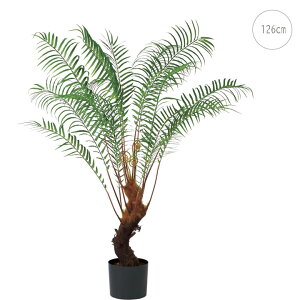 t@[c[ (126cm ) O[ ϗtA  A ^q` 썑  ϗtA ^ CeA lH tFCN ͗lւ  _ Vv X fBXvC JtF C_X