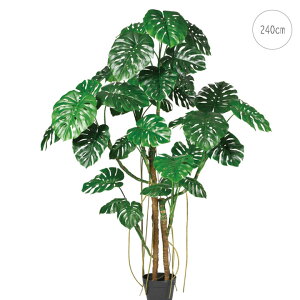 yߏizy^TCYzXec[ (240cm) TCY O[ ϗtA  ^q` 썑  ϗtA ^ CeA lH tFCN ͗lւ  _ Vv