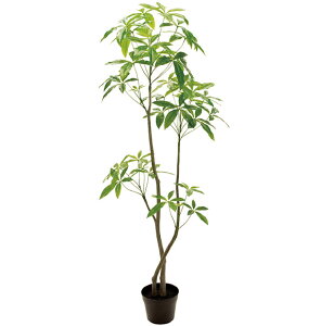 ylCizpLc[(180cm) O[ ϗtA  A ^q` 썑  ϗtA ^ CeA lH tFCN ͗lւ  _ Vv X fBXvC JtF 