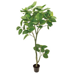 Ex[^ (180cm) ^ O[ ϗtA  A i ^q` 썑  ϗtA ^ CeA lH tFCN ͗lւ  _ Vv X fBXvC JtF 