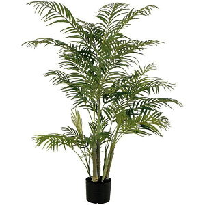 AJp[c[ (128cm) ϗtA  A i ^q` 썑  ϗtA ^ CeA lH tFCN ͗lւ  _ Vv X fBXvC JtF C_X