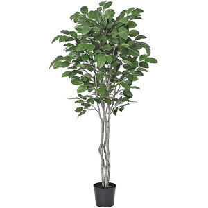 WCAgc[ (200cm) ϗtA  A ^q` 썑  ϗtA ^ CeA lH tFCN ͗lւ  _ Vv X fBXvC JtF C_XgA