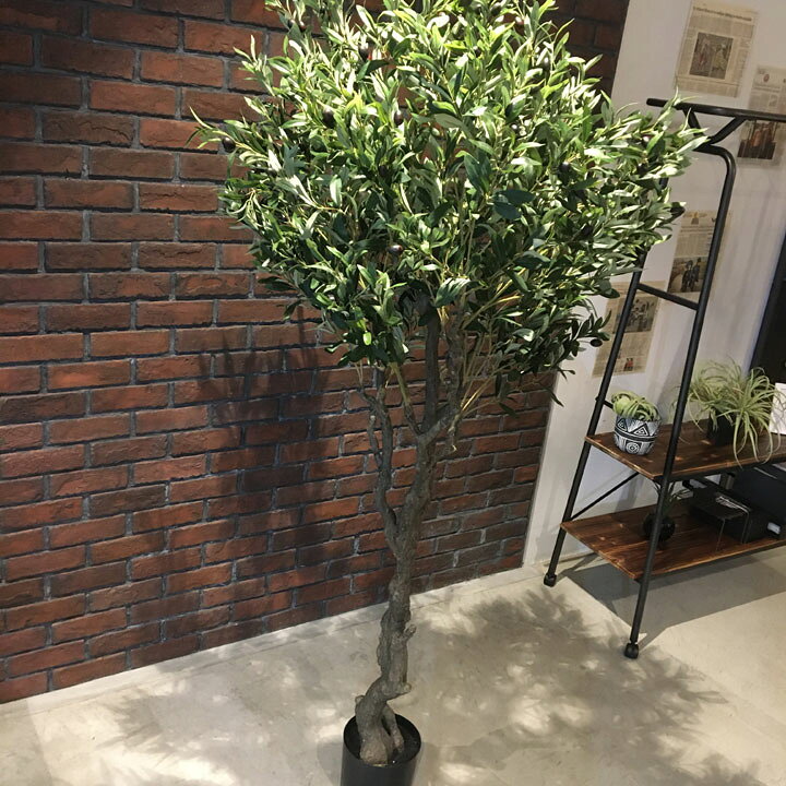 楽天市場 観葉植物 造花 高さ198cmオリーブツリー フェイクツリー 造花 タヒチ 南国 夏 観葉植物 大型 インテリア 人工 フェイク 模様替え おしゃれ モダン シンプル 店舗 ディスプレイ カフェ インダストリアル 倉庫 レンガ マリイソル楽天市場店