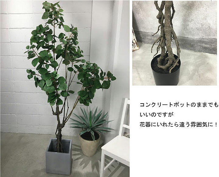 楽天市場 スモークツリー 高さ180ｃｍ 観葉植物 造花 タヒチ 南国 夏 観葉植物 大型 インテリア 人工 フェイク 模様替え おしゃれ モダン シンプル 店舗 ディスプレイ カフェ インダストリアル 倉庫 レンガ マリイソル楽天市場店