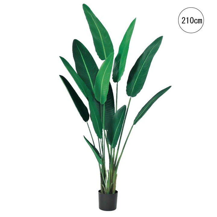 楽天市場 観葉植物 大型 トラベルパームツリー 210cm 造花 タヒチ 南国 夏 観葉植物 大型 インテリア 人工 フェイク 模様替え おしゃれ モダン シンプル 店舗 ディスプレイ カフェ インダストリアル 倉庫 レンガ パームツリー マリイソル楽天市場店