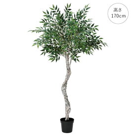 【再入荷】スマイラックスツリー(高さ170cm) グリーン 観葉植物 造花 リアル 玄関 エントランス 一 ホテル エレガント モデルルーム