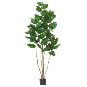 Ex[^ (180cm) O[ ϗtA  A ^q` 썑  ϗtA ^ CeA lH tFCN ͗lւ  _ Vv X fBXvC JtF C_Xg