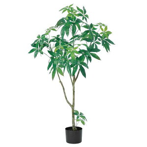 pLc[ (120cm) ϗtA  A ^q` 썑  ϗtA ^ CeA lH tFCN ͗lւ  _ Vv X fBXvC JtF C_XgA q