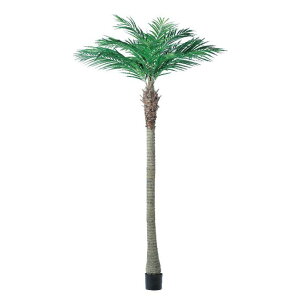 AJp[ (240cm) O[ ϗtA  A ^q` 썑  ϗtA ^ CeA lH tFCN ͗lւ  _ Vv X fBXvC JtF C_Xg