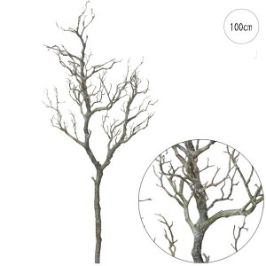 ylCizcCbO(100cm) CeA } ϗtA  썑  IuWF  ϗtA ^ CeA lH ϗtA͗l ^   lH _ Vv X܃fBXvC 