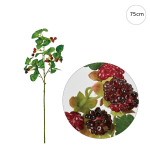 y2{ZbgzCh Yx[ (75cm) CeA } ϗtA  썑  IuWF  ϗtA ^ CeA lH ͗l ^   lH _ Vv X܃fBXv