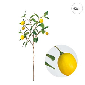 y2{Zbgz̎} (92cm) CeA } ϗtA  썑  IuWF  ϗtA ^ CeA lH ͗l ^   lH _ Vv X܃fBXvC Jt