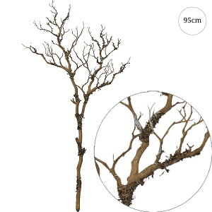 y2{Zbgzu` (95cm) CeA } ϗtA  썑  IuWF  ϗtA ^ CeA lH ϗtA͗l ^   lH _ Vv X܃fBXvC