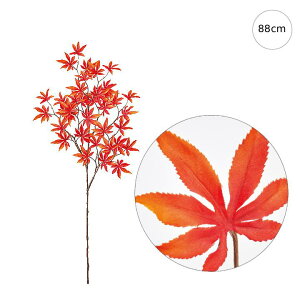 y2{ZbgzH݂ (88cm) ϗtA tFCN  ^ lHϗtA A tFCNO[ CeA u[P t[ AWg p[ ݃J[ hCt[ 