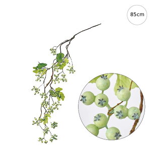 y2{ZbgzO[X[Nx[OcCbO (85cm) CeA } ϗtA  썑  IuWF  ϗtA ^ CeA lH ͗l ^   lH _ V