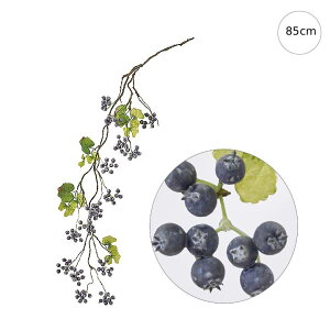 y2{ZbgzX[Nx[OcCbO (85cm) CeA } ϗtA  썑  IuWF  ϗtA ^ CeA lH ͗l ^   lH _ Vv X