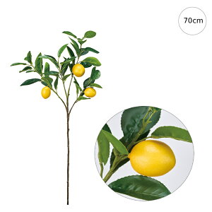 y2{Zbgzu` (79cm) CeA } ϗtA  썑  IuWF  ϗtA ^ CeA lH ͗l ^   lH _ Vv X܃fBXvC 