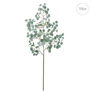 yēׁz[J} (155cm) CeA } ϗtA  썑  IuWF  ϗtA ^ CeA lH ͗l ^   lH _ Vv X܃fBXvC JtF 