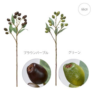 yeF2{Zbgz[JxM[ibc@} (68cm) CeA } ϗtA  썑  IuWF  ϗtA ^ CeA lH ϗtA͗l ^   lH _ V