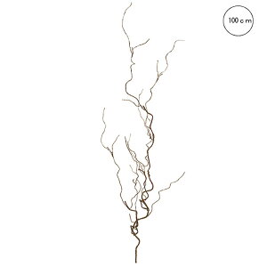 y3{Zbgz[OcCbO (100cm) I[V[Y CeA } ϗtA 썑  IuWF  ^ CeA lH ͗l ^   lH _ Vv X܃fBXv