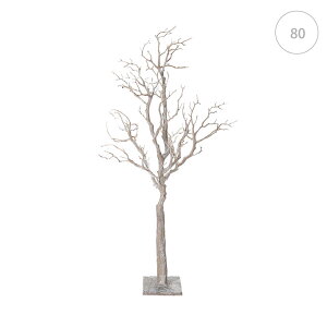 ynEB NX}Xzi`u`X^ht(S80cm ) CeA } NX}X c[ I[ig LED  fBXvC AW lC