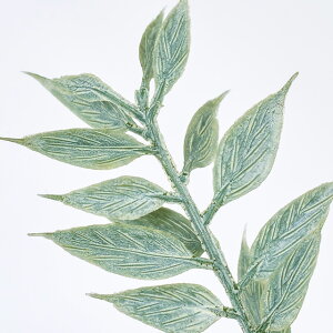 y3{ZbgzyCeA }zEHbVXJX (75cm) lHϗtA  tFCNO[ t ϗtA Ǌ|  ݂艺 