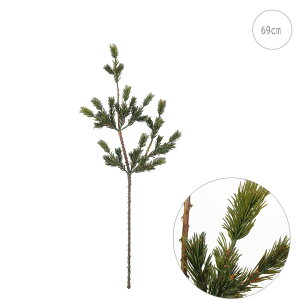 y2{Zbgzy }zct (69cm) CeA  X fBXvC  ItBX Gߊ S[WX AW |~  i VbN lC