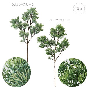 y }z} (100cm) CeA  X fBXvC  ItBX GߊS[WX AW  a m