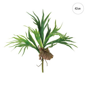 y2{ZbgzrJNV_ (30cm)  A Xܑ qJNV_ AW  V ݂ JtF  AW GgX f[ ze