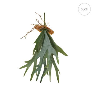 RE (50cm)  A rJNV_ Xܑ CeAfBXvC G  Cxg   ϗtA A[gO[ )