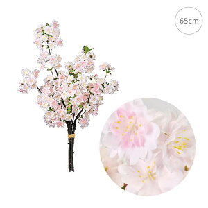 悢 (65cm) t Xܑ CeAfBXvC G o  Cxg   ϗtA A[gO[ 